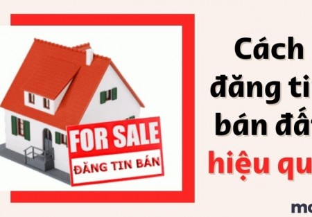 Hướng Dẫn Viết Tin Đăng Bất Động Sản Chuẩn Seo Giúp Tăng Tỷ Lệ Khách Gọi Khi Bán Đất Nền Tại Văn Giang