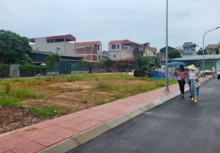 Xu Hướng Đầu Tư Đất Nền Văn Giang Giai Đoạn 2025–2030: 7 Chiến Lược Giúp Nhà Đầu Tư Hà Nội Chọn Đúng Điểm Rơi Và Nhân Gấp Đôi Tài Sản