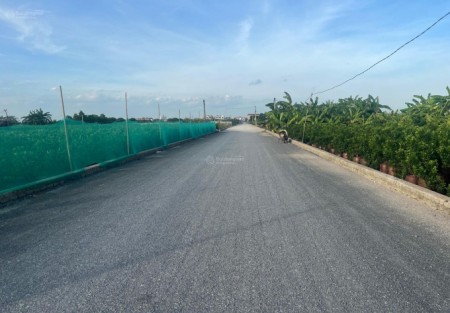 Thị trường bất động sản xã Hoàn Long: điểm tích lũy chiến lược trong cấu trúc phát triển mới