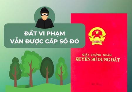 Cấp lại sổ đỏ bị rách, mờ thông tin: giải pháp pháp lý bắt buộc để bảo toàn giá trị đất đai