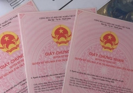 Cấp lại sổ đỏ xã Nghĩa Trụ: Chìa khóa pháp lý mở biên lợi nhuận cho nhà đầu tư Văn Giang
