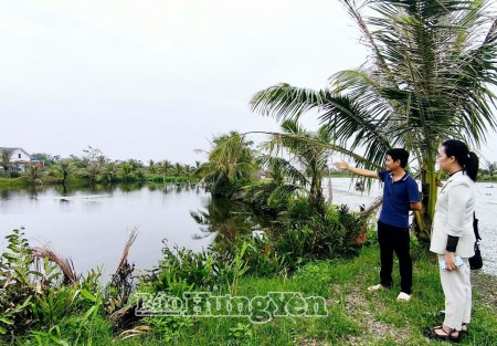 Lên thổ cư đất ao Hưng Yên, Chiến lược “lật kèo pháp lý” cho nhà đầu tư ven đô