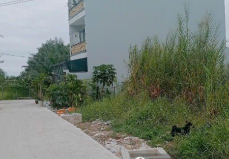 Đất thổ cư xã Hoàn Long dưới 2 tỷ trở thành cửa vào hiếm hoi cho dòng tiền thông minh