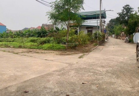 Đất thổ cư Văn Giang: Lựa chọn an toàn để an cư lâu dài