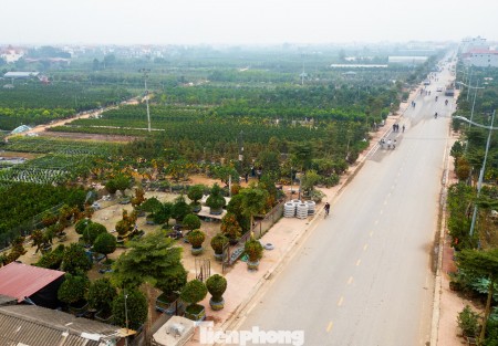 Đất vườn ven trục giao thông Văn Giang: Cơ hội hay rủi ro?