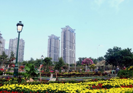 Đất ở Phụng Công: Phân tích giá và cơ hội đầu tư 2026