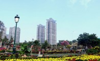 Đất ở Phụng Công: Phân tích giá và cơ hội đầu tư 2026
