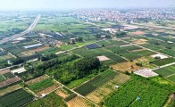 Giá đất khu dân cư Mễ Sở Văn Giang biến động 2026
