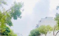 Quy hoạch Phụng Công đang tác động đến thị trường như thế nào?
