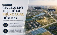 Giá giao dịch thực tế tại Phụng Công hôm nay