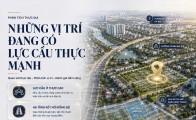 Những vị trí đang có lực cầu thực mạnh