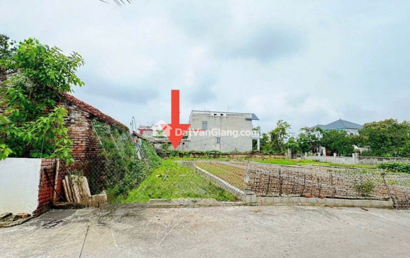 Bán Đất Đông Tảo Khoái Châu 81,9m2 Gần Chợ Đầu Mối Rau Củ Đường Thoáng Giá 3x Tr/m2