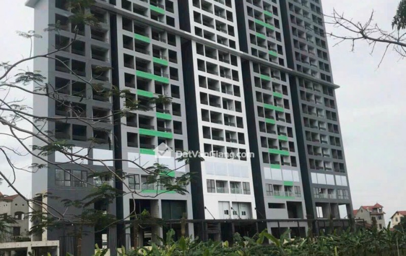 Bán Đất Văn Giang Lô 132,36m2 Khu Đô Thị Dagonbark Phụng Công Đường 8m Giá 8xtr/m2