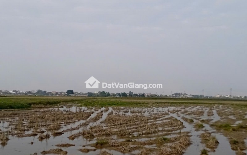 Đất Nông Nghiệp 903m2 Đặng Đỉnh Đặng Lễ Ân Thi Hưng Yên Giá 280 Triệu 1 Sào Bắc Bộ