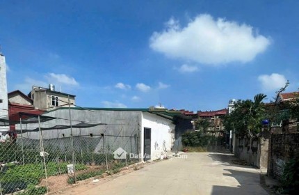 Bán Đất Văn Giang Đấu Giá Xuân Quan 94m2 Ô Tô Tránh Giáp Ecopark Alluvia Giá 6x Tỷ