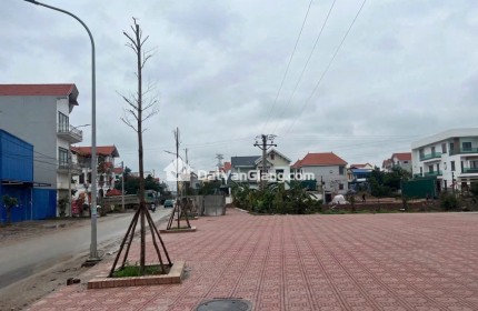 Đất Đấu Giá Văn Giang Vĩnh Khúc 100,5m2 Trục 8m Gần Vinhomes Ocean Park 2 Và Vành Đai 4