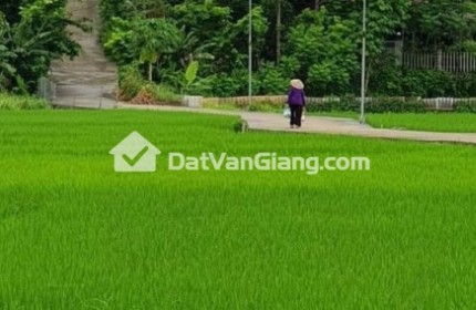 Đất Nông Nghiệp 903m2 Đặng Đỉnh Đặng Lễ Ân Thi Hưng Yên Giá 280 Triệu 1 Sào Bắc Bộ