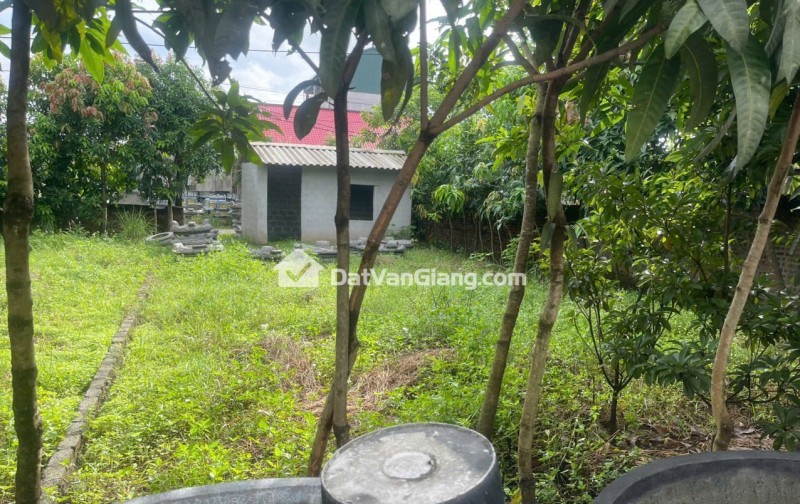 Siêu Phẩm Lô Góc 2 Mặt Tiền Đất Văn Giang 157.8m2 Đường 4m Giá 5x