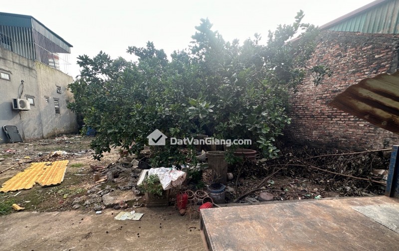 BÁN ĐẤT HOA KHÔI ĐAN KIM NGÕ NÔNG Ô TÔ VÀO TẬN ĐẤT
