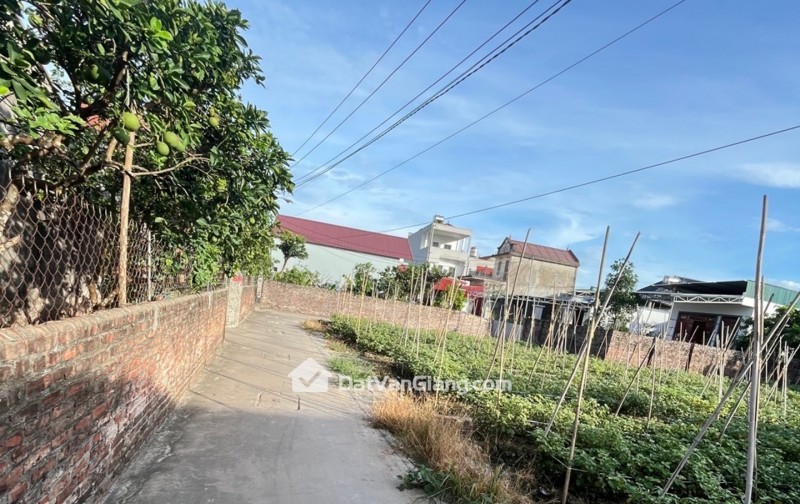 Bán đất Đông Tảo - Khoái Châu - Hưng Yên , đường thông , oto vào đất