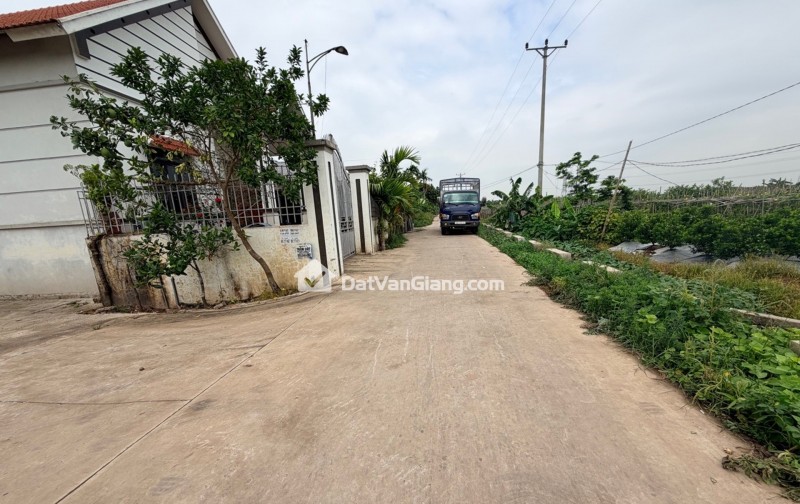 Siêu phẩm đông tảo hoàn Long