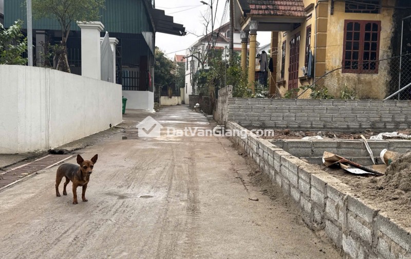Siêu Phẩm Đất Văn Giang 67.2m2 Mặt Tiền 4.5m Ô Tô Vòng Quanh Giá Nhỉnh 3 Tỷ