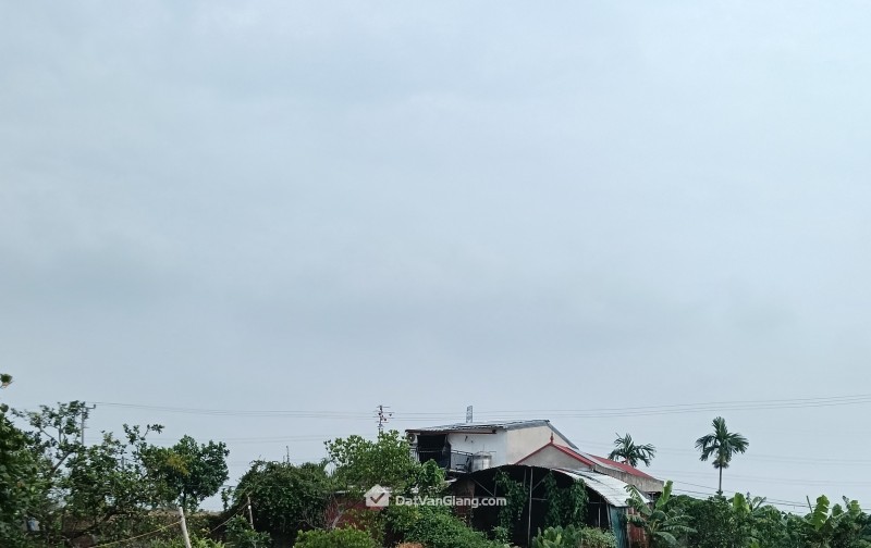 Siêu phẩm đông tảo hoàn Long