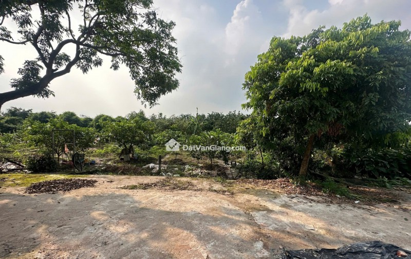 Đất bán 81.9m² MT 6m giá đầu tư Thôn Kim Ngưu Xã Tân Tiến gần ĐH Bách Khoa
