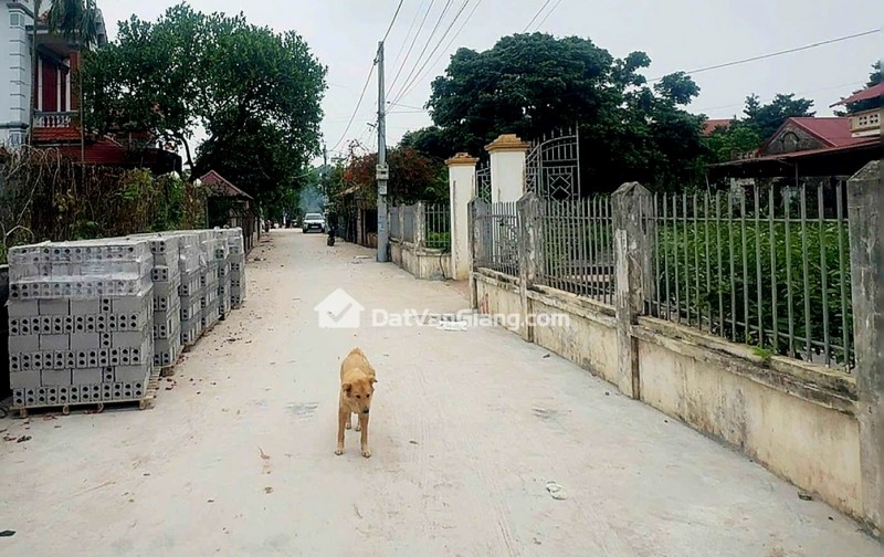 Đất Văn Giang 91.6m2 Lô Góc 2 Mặt Tiền Ô Tô Tránh Giá Đầu Tư 4x Tr/m2