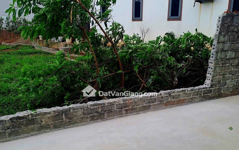 Bán Siêu Phẩm Đất Văn Giang 82.1m2 Mặt Tiền 5m Sát Ecopark Đường Ô Tô Tận Cửa Chỉ 4x Triệu/m2