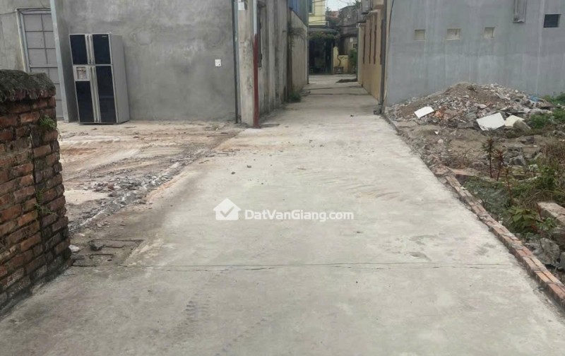 Siêu phẩm đông tảo hoàn Long