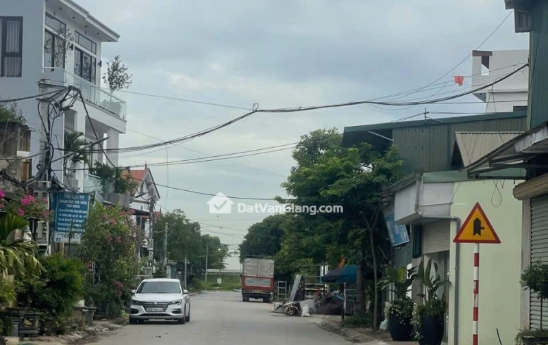 Siêu phẩm đông tảo hoàn Long