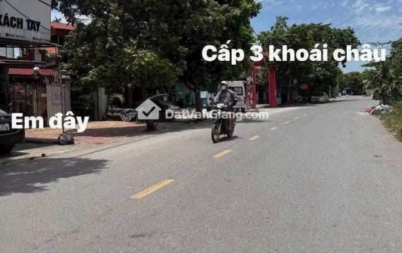 Siêu phẩm đông tảo hoàn Long