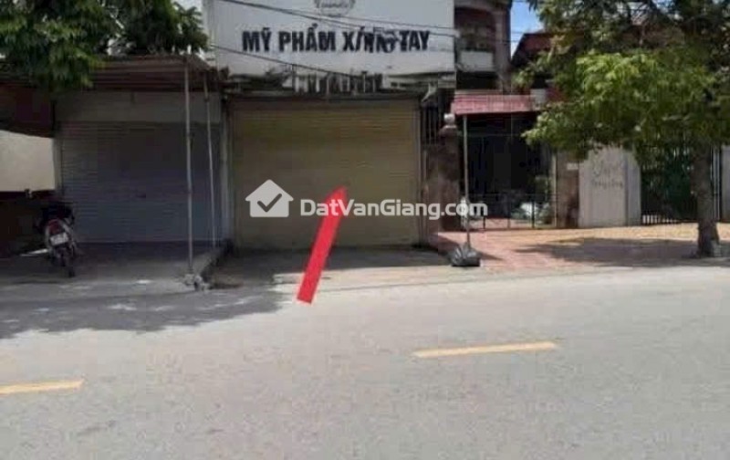 Siêu phẩm đông tảo hoàn Long