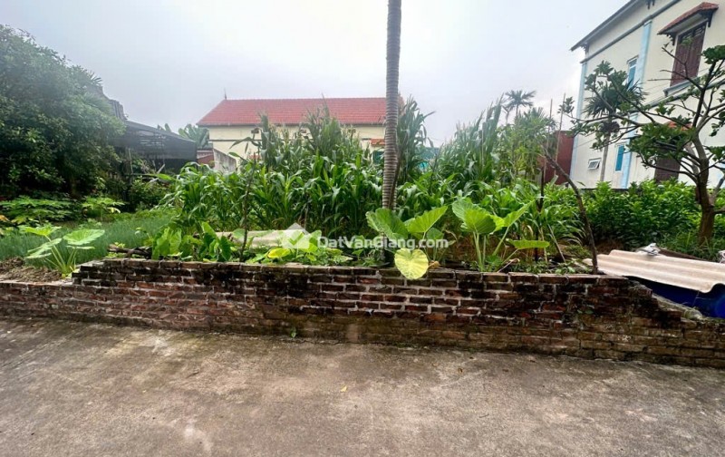 Bán 2 Lô Đất Siêu Đẹp Tại Mễ Sở Văn Giang – Mặt Tiền 6m, Ô Tô Vào Đất, Nở Hậu Đẹp