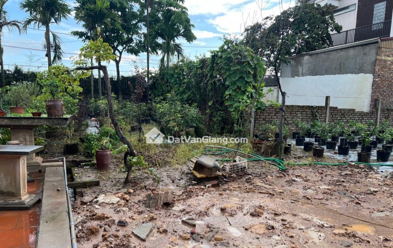 Bán Đất 100m² Trục Chính Kinh Doanh Phi Liệt Văn Giang – Đường Xe Tải Tránh, Giá đầu tư