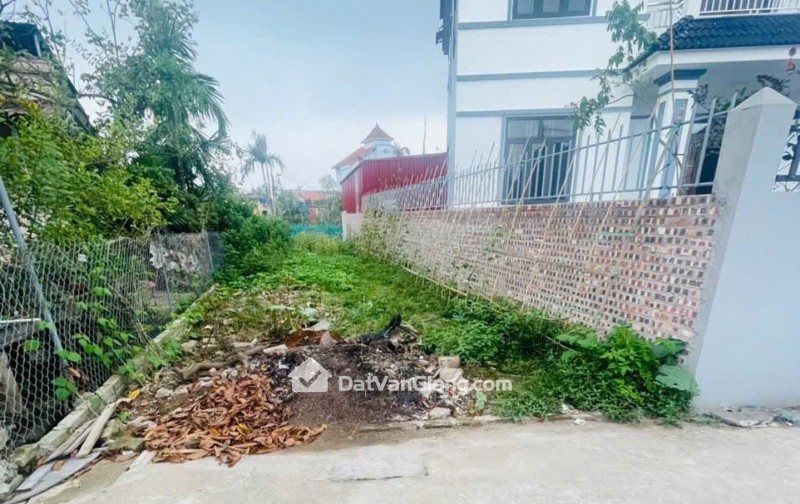 Bán 101m² Đất Quán Trạch Văn Giang – Ô Tô Đỗ Cửa, Gần Ecopark, Giá đầu tư 3xtr/m