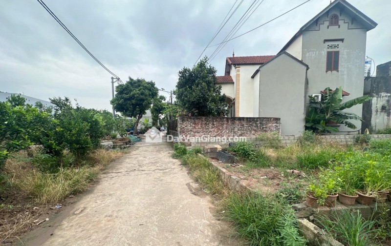 Bán Đất 105m² Bá Khê Văn Giang – Ô Tô Tránh, Kinh Doanh, Gần PVF Và Ecopark