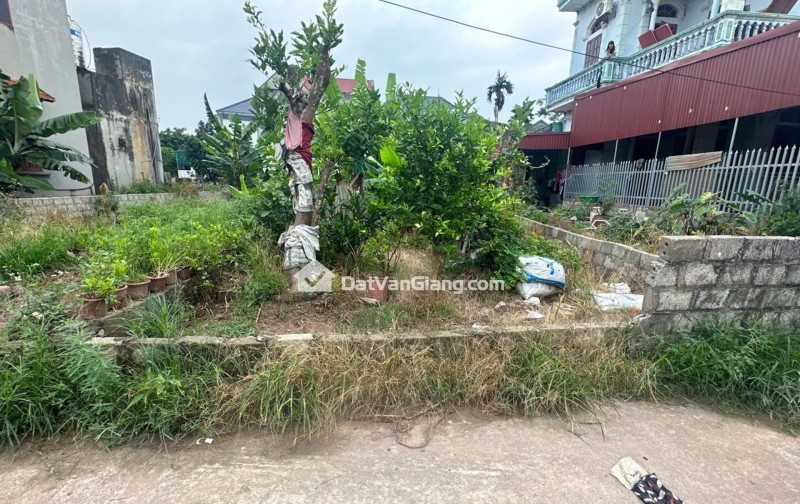 Bán Đất 105m² Bá Khê Văn Giang – Ô Tô Tránh, Kinh Doanh, Gần PVF Và Ecopark