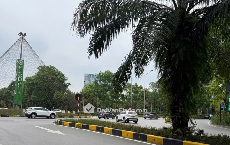Bán Đất Phân Lô 108m² Thôn Đại Phụng Công – Ô Tô Tránh, Gần Ecopark, Giá Đầu Tư