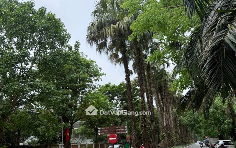 Bán Đất Phân Lô 108m² Thôn Đại Phụng Công – Ô Tô Tránh, Gần Ecopark, Giá Đầu Tư