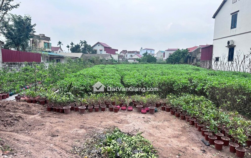 Bán 121m² Đất Mễ Sở Văn Giang – Full Thổ Cư, Đường Ô Tô, Hướng Nam Mát Mẻ