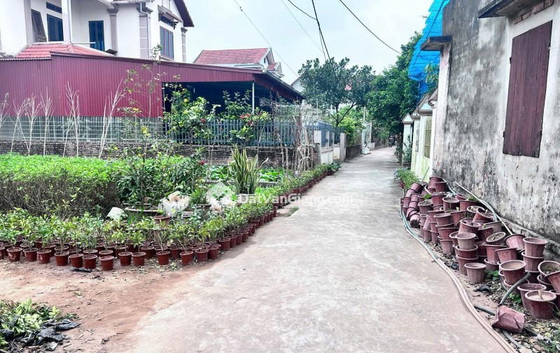 Bán 121m² Đất Mễ Sở Văn Giang – Full Thổ Cư, Đường Ô Tô, Hướng Nam Mát Mẻ