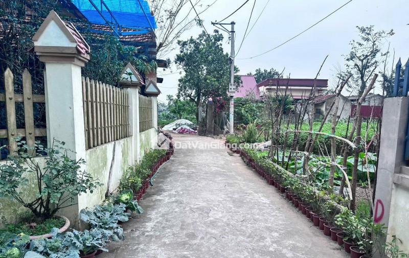 Bán 121m² Đất Mễ Sở Văn Giang – Full Thổ Cư, Đường Ô Tô, Hướng Nam Mát Mẻ