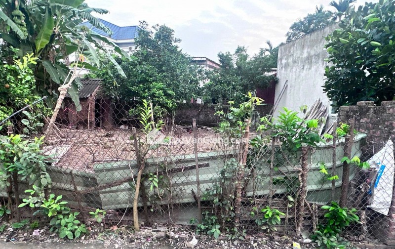 Bán 124m² Đất Kim Ngưu Văn Giang – Mặt Tiền 8,9m, Ô Tô, Giá đầu tư
