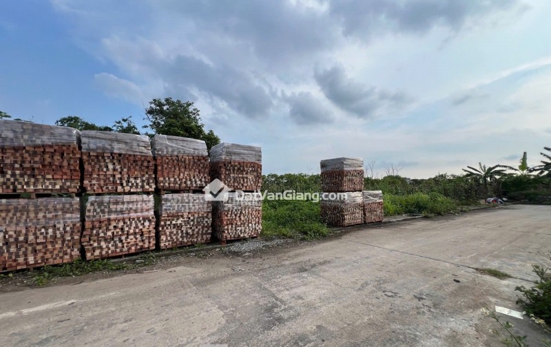 Bán Đất 124m² Khu Đấu Giá Phượng Trì Văn Giang – Mặt Tiền 7m, Gần VPF, Giá Đầu Tư 7x tr/m