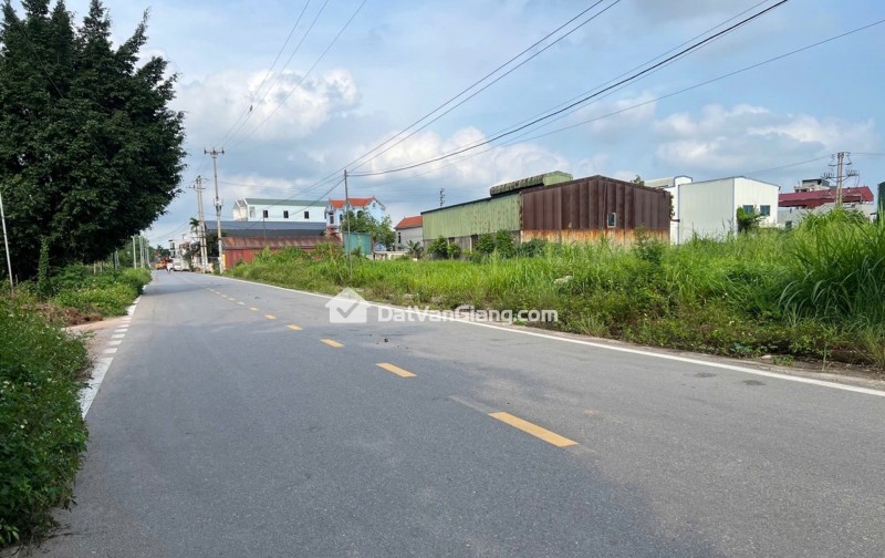 Bán Đất 124m² Khu Đấu Giá Phượng Trì Văn Giang – Mặt Tiền 7m, Gần VPF, Giá Đầu Tư 7x tr/m