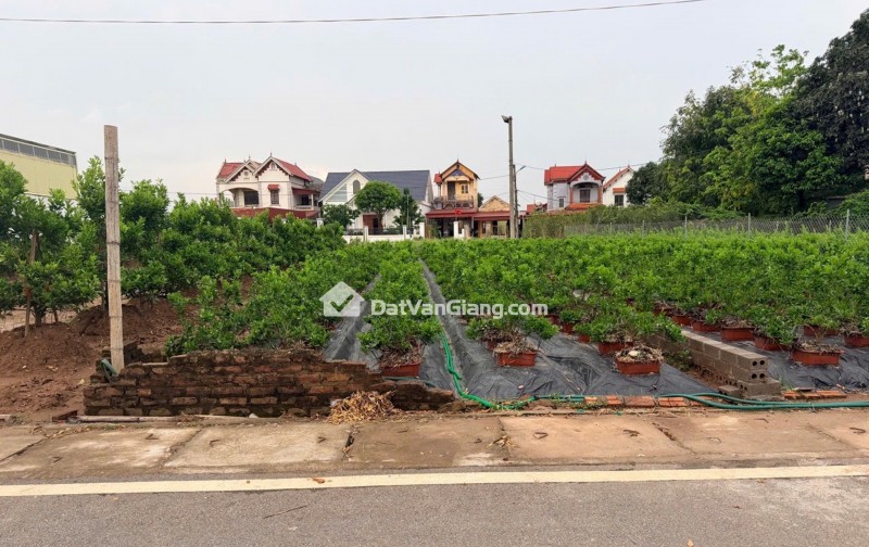 Bán Đất 141m² Hoàng Trạch Mễ Sở – Ô Tô Tránh, Gần Siêu Dự Án Sun Group