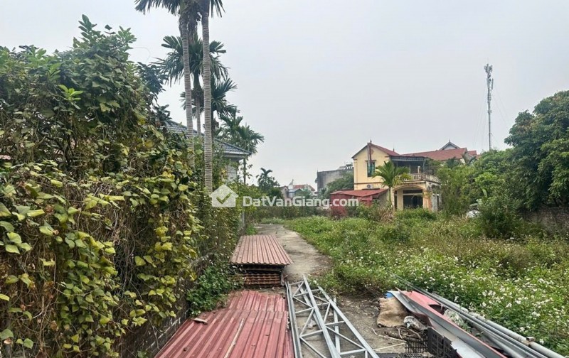 Bán 58m² Đất Quán Trạch Văn Giang – Mặt Tiền 6,6m, Phân Lô Đẹp, Giá Tốt Đầu Tư