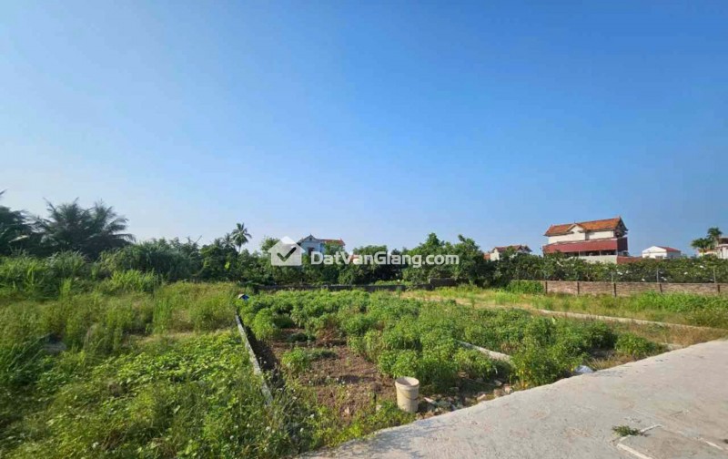 Bán 76m² Đất Văn Giang – Gần PVF, Đại Học Bách Khoa, Tài Chính 2.x tỷ